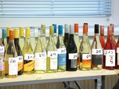 Szeged, Borfesztivál, borverseny, bor, borkóstoló