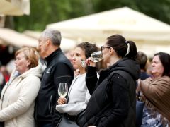 Szeged, Borfesztivál, bor, Széchenyi tér, turizmus, fesztivál