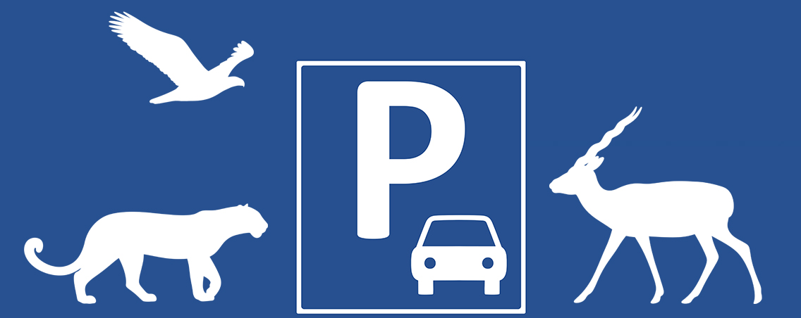 Könnyebb lesz a parkolás a Nyíregyházi Állatparknál