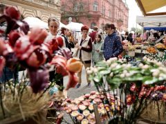 Szeged, Szeged Napja, Hídivásár, Belvárosi híd, Híd utca, belváros, kézműves vásár, kézművesek, turizmus
