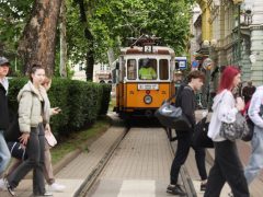 Szeged, Szeged Napja, villamos, nosztalgia villamos, közlekedés, tömegközlekedés