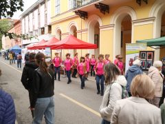 Szeged, Szeged Napja, Hídivásár, Belvárosi híd, Híd utca, belváros, kézműves vásár, kézművesek, turizmus