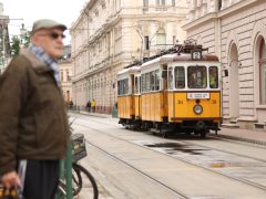 Szeged, Szeged Napja, villamos, nosztalgia villamos, közlekedés, tömegközlekedés