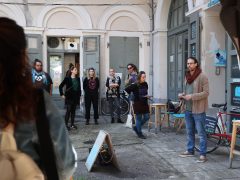 Szeged, Tricikli Fesztivál, sajtótájékoztató, Kék Elefánt, kultura, program