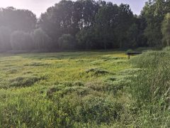 Vekeri-tó van benne víz