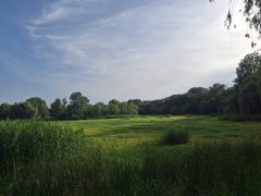 Vekeri-tó van benne víz