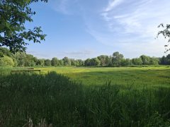 Vekeri-tó pusztulása