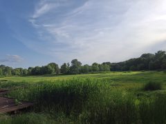 Vekeri-tó kiszáradt