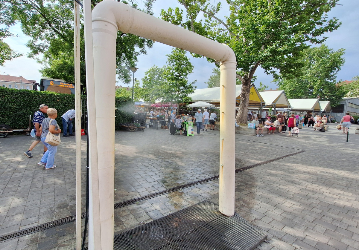 Szeged, párakapu, Mars téri piac, június, nyár, meleg, hőség