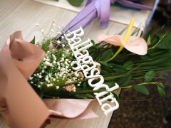 Szeged, ballagás, Tabán iskola, iskola, oktatás