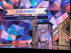 Magyar Mozgókép Filmfesztivál díjátadója