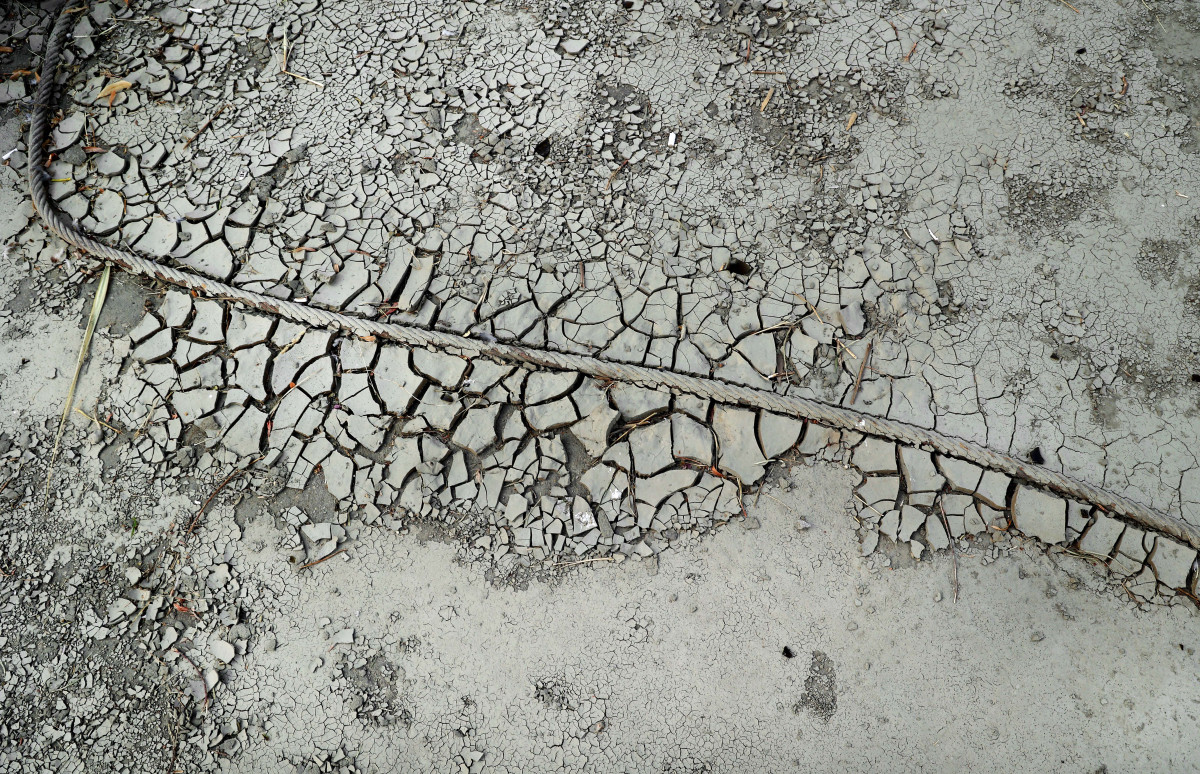 Szeged, 40 fok, nyár, meleg, hőség, kánikula, Tisza part, szárazság, aszály, időjárás