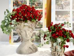 Szeged, Rózsahölgyek, Szőregi Rózsaünnep, fesztivál, rózsa, virág