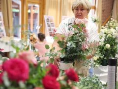 Szeged, Rózsahölgyek, Szőregi Rózsaünnep, fesztivál, rózsa, virág