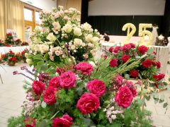 Szeged, Rózsahölgyek, Szőregi Rózsaünnep, fesztivál, rózsa, virág