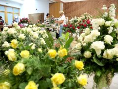 Szeged, Rózsahölgyek, Szőregi Rózsaünnep, fesztivál, rózsa, virág