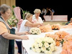 Szeged, Rózsahölgyek, Szőregi Rózsaünnep, fesztivál, rózsa, virág