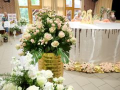 Szeged, Rózsahölgyek, Szőregi Rózsaünnep, fesztivál, rózsa, virág