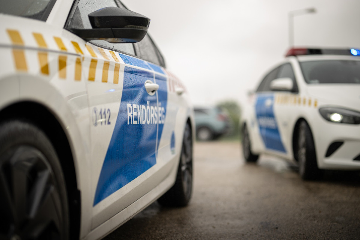 Rendőrség. Gyilkosság. Fotó: Magyar Rendőrség FB