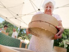 Szeged, Tarhonyafesztivál, tarhonya, bogrács, főzés, Tápé