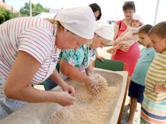 Szeged, Tarhonyafesztivál, tarhonya, bogrács, főzés, Tápé