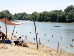 Szeged, Sárga, szabadstrand, strand, nyár, meleg, hőség, kánikula, fürdőzés, napozás, Tisza, Tisza part