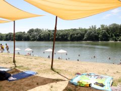 Szeged, Sárga, szabadstrand, strand, nyár, meleg, hőség, kánikula, fürdőzés, napozás, Tisza, Tisza part