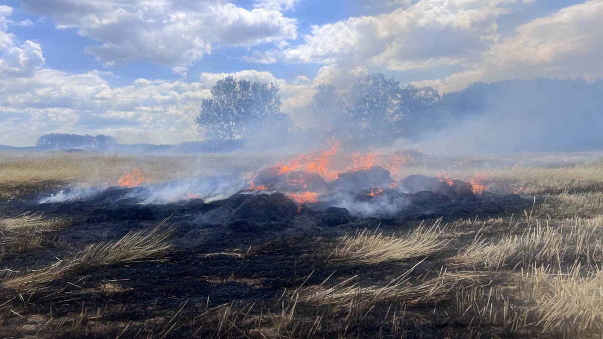 Szabadtéri tűz, avartűz