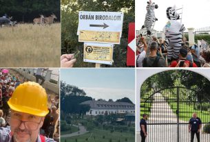 Tüntetés Hatvanpusztán