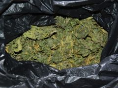 Fogyasztotta és árusította is a saját termesztésű marihuánát a nyírpazonyi férfi