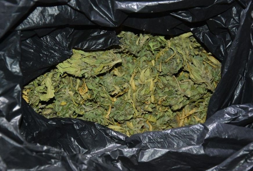 Fogyasztotta és árusította is a saját termesztésű marihuánát a nyírpazonyi férfi