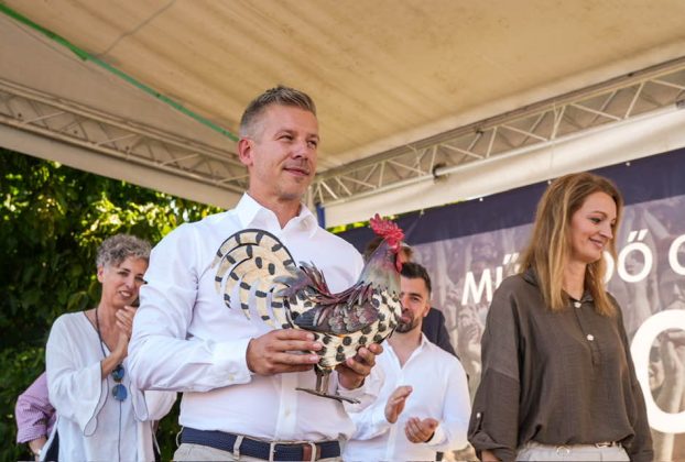 Magyar Péter kiskakas