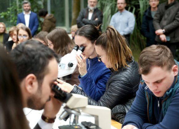 Szeged, Nobel-díj, Karikó Katalin, Füvészkert, hallgatók, szegedi Tudós nők ösvény