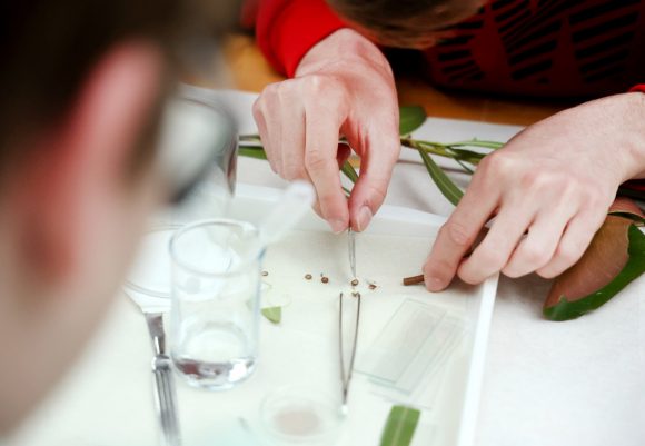 Szeged, Nobel-díj, Karikó Katalin, Füvészkert, hallgatók, szegedi Tudós nők ösvény